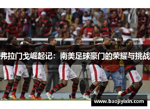 弗拉门戈崛起记：南美足球豪门的荣耀与挑战