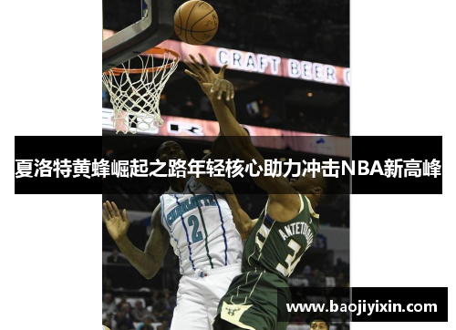 夏洛特黄蜂崛起之路年轻核心助力冲击NBA新高峰